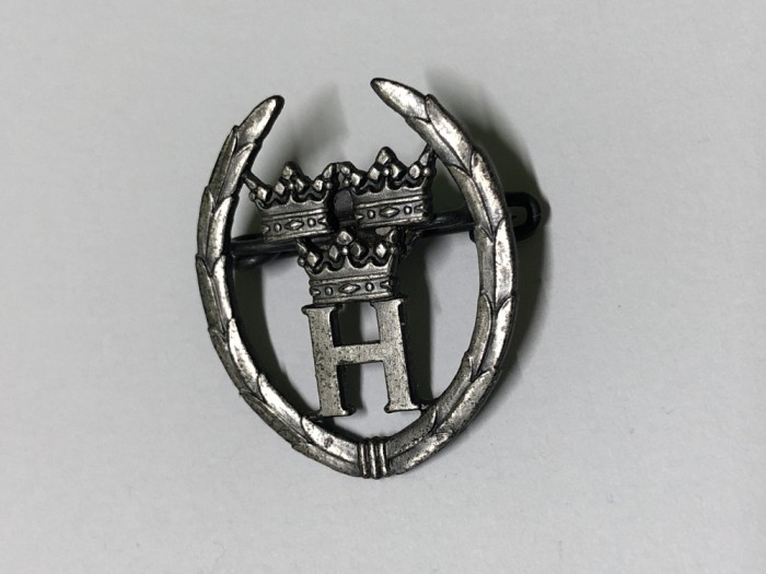 Insigna veche suedeza (1)