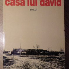 CASA LUI DAVID-DUMITRU NICODIM