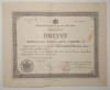 Brevet medalia jubiliara Carol I 1906 - medicina, Eforia Spitalelor Civile