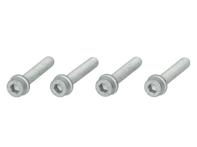 Crankshaft fixing bolts set/kit fits: AUDI 80 B4. A6 C4. CABRIOLET B3; FORD GALAXY I. GALAXY MK I; SEAT ALHAMBRA. CORDOBA. CORDOBA VARIO. IBIZA II. IN foto