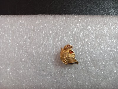 insigna Real Sociedad foto