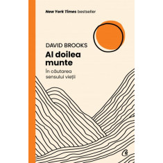 Al doilea munte. In cautarea sensului vietii, David Brooks