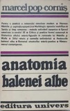ANATOMIA BALENEI ALBE. POETICA ROMANULUI AMERICAN EPOPEIC-SIMBOLIC-MARCEL POP-CORNIS-221505