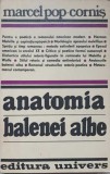 ANATOMIA BALENEI ALBE. POETICA ROMANULUI AMERICAN EPOPEIC-SIMBOLIC-MARCEL POP-CORNIS