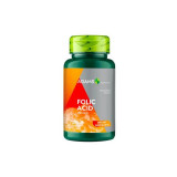 Acid Folic 400mcg, 30 tablete, Adams, Adams Vision