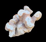 DECORATIUNE CORAL NATURAL