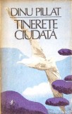 TINERETE CIUDATA. MOARTEA COTIDIANA. JURNALUL UNUI ADOLESCENT-DINU PILLAT-352973