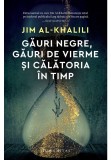 Cumpara ieftin Gauri negre, gauri de vierme si calatoria in timp