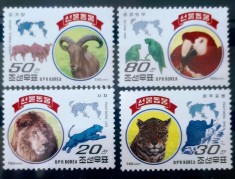 Coreea 1997, fauna Korea 1997 fauna animale sălbatice ,păsări papagali ARA Macao, leu,pantera serie 4v nestampilata