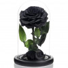 Trandafir Criogenat negru &Oslash;8cm in cupola de sticla 12x25cm