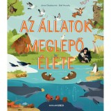 Az &aacute;llatok meglepő &eacute;lete - Anna Claybourne