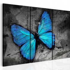 Tablou canvas 3 piese - Studiul tripticului fluture - 60x40 cm foto