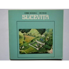 SUCEVITA-CORINA NICOLESCU, ION MICLEA