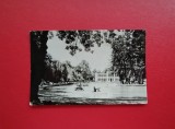 CARTE POSTALA - RSR - CLUJ - VEDERE DIN PARC