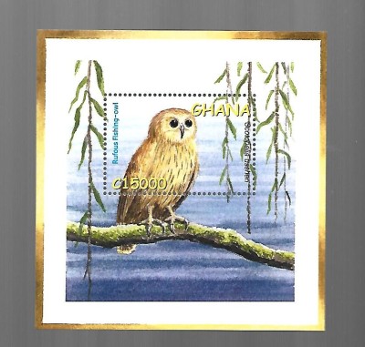 ghana pasari mnh foto