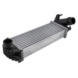 Intercooler Renault Kangoo (12-) 1.2 1.5, Citan (12-) (Man, Diesel), 144961489R