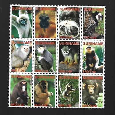 SURINAME MNH foto