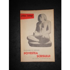 ELISABETH HERING - POVESTEA SCRISULUI