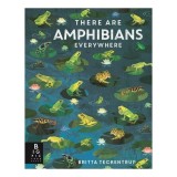 There Are Amphibians Everywhere