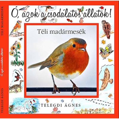 &amp;Oacute;, azok a csod&amp;aacute;latos &amp;aacute;llatok! - T&amp;eacute;li mad&amp;aacute;rmes&amp;eacute;k - &amp;Oacute;, azok a csod&amp;aacute;latos &amp;aacute;llatok! - Telegdi &amp;Aacute;gnes foto