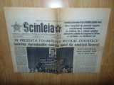 Ziarul Scanteia 20 Iunie 1981-Perioada Comunista