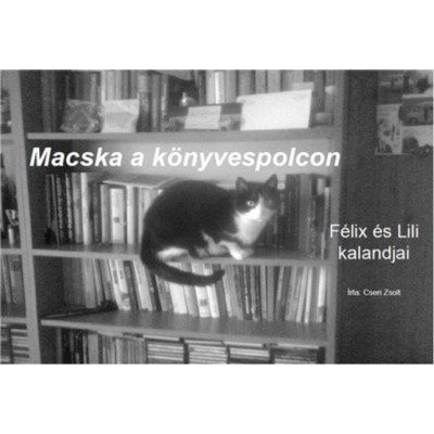 Macska a k&amp;ouml;nyvespolcon - Cseri Zsolt foto