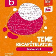 Matematica - Clasa 6 - Teme recapitulative - Anton Negrila, Maria Negrila