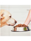 Castron Metalic pentru hranire Animale de Companie 22cm, AVEX