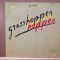 JJ Cale &ndash; GrassHopper (1982/Phonogram/RFG) - Vinil/Vinyl/ca Nou (M)
