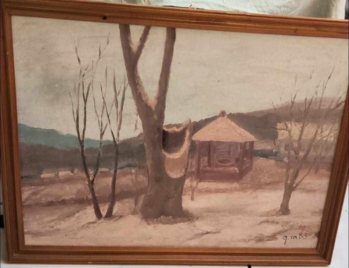 Iarna la Tabăra de la Berzunți, de George Macovei, Uap Bacău, an 1983