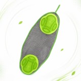 Prosop cu Perie pentru Caini si Pisici, 64 x 28.5 cm, Microfibra cu Uscare Rapida, Moale si Superabsorbant