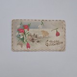 Cartolina - carte postala litografiata in relief, tematica peisaj, ca. 1899-1905