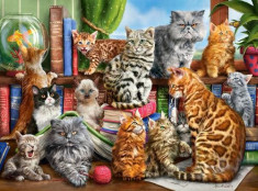 Puzzle Castorland 2000 Interlitho: House of cats foto