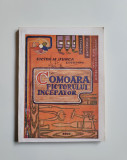 Cumpara ieftin Banat Victor Jurca, Comoara pictorului incepator (tratat pictura), Lugoj, 1984