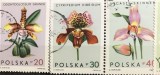 Timbre - Polonia Polska - >50 - Serie - Tematica Plante