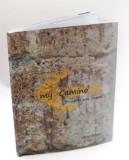 my Camino. thoughts into images