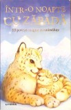 INTR-O NOAPTE CU ZAPADA. 10 POVESTI CU ANIMALUTE-LINDA CHAPMAN-336473