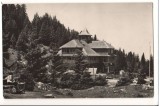 CPI B 10871 CARTE POSTALA - MASIVUL RARAU, CABANA RARAU, RPR