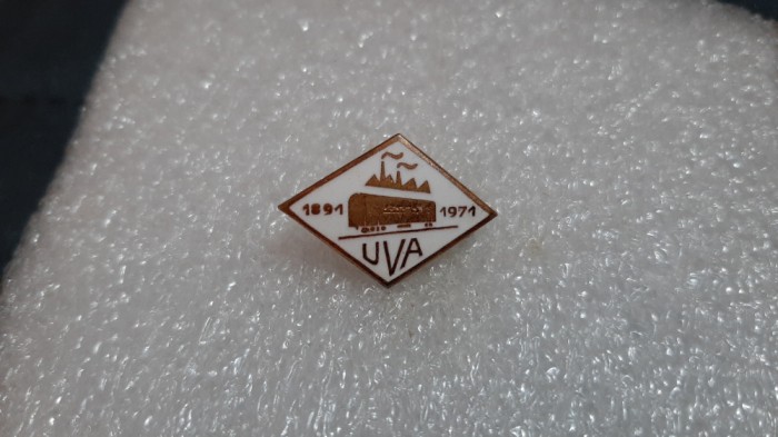 insigna aniv. UV Arad