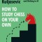 How to Study Chess on Your Own: Creating a Plan That Works... and Sticking to It!