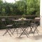 vidaXL Scaune de bistro pliante, 6 buc., maro, poliratan și oțel 3152116