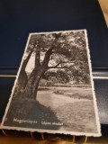 Carte Postala - Vedere din parc