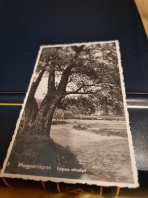 Carte Postala - Vedere din parc foto