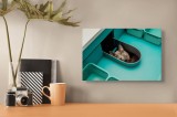 Tablou Canvas, "Pisica ascunsă &icirc;n sertarul teal", Pisică, Ochi, Curioasă, Cutie, Verde, Blană, Uimită, Haioasă, 39 x 26 cm, CMCLASS