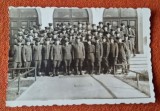 fotografie veche romaneasca datata, foto militari - grup ofiteri