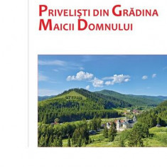 Priveliști din Grădina Maicii Domnului - Paperback brosat - Grigore Ilisei - Trinitas