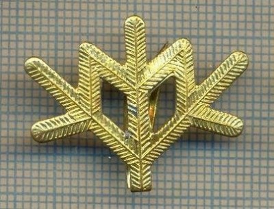 Y 1750 INSIGNA - MILITARA -SEMN DE ARMA -VANATORI DE MUNTE -PENTRU COLECTIONARI foto