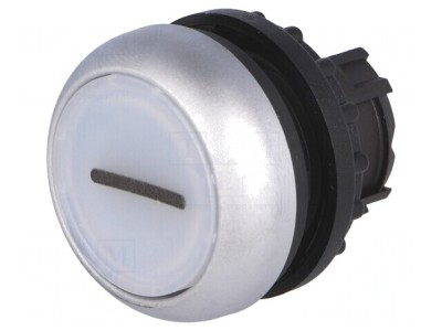 Comutator Alb 22mm IP67 foto