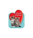 Cumpara ieftin Animale drăgălașe - Hardcover - *** - Flamingo