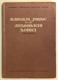 1959 TIRAJ 1500 ex. Manualul juridic al lui Andronachi Donici, Andronache Donici, Editie Critica, drept romanesc,carte veche,istoria Moldovei Romaniei